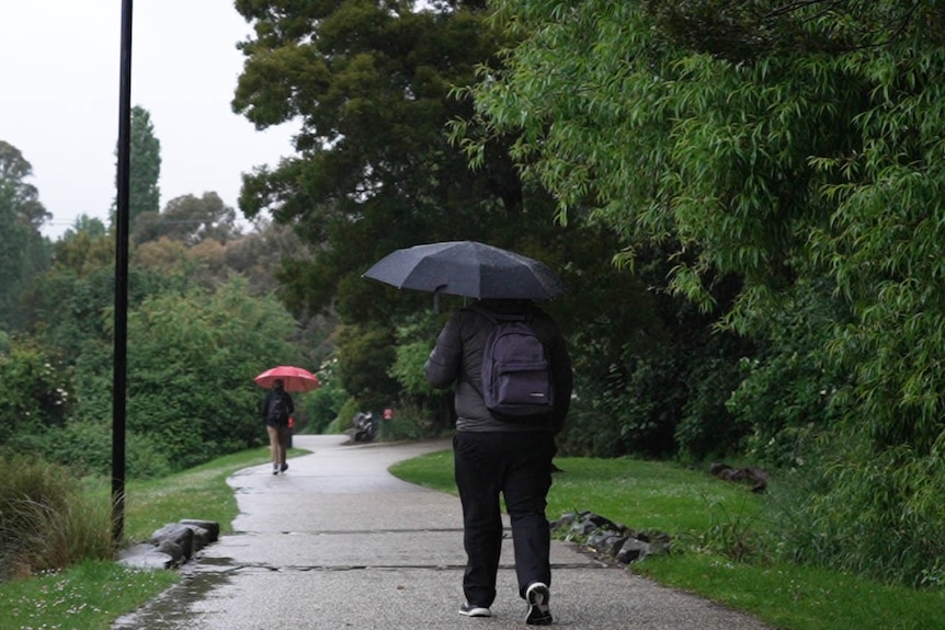 Two people walking along a windy footpath, holding umbrellas. Lush green trees and bushes line the path.