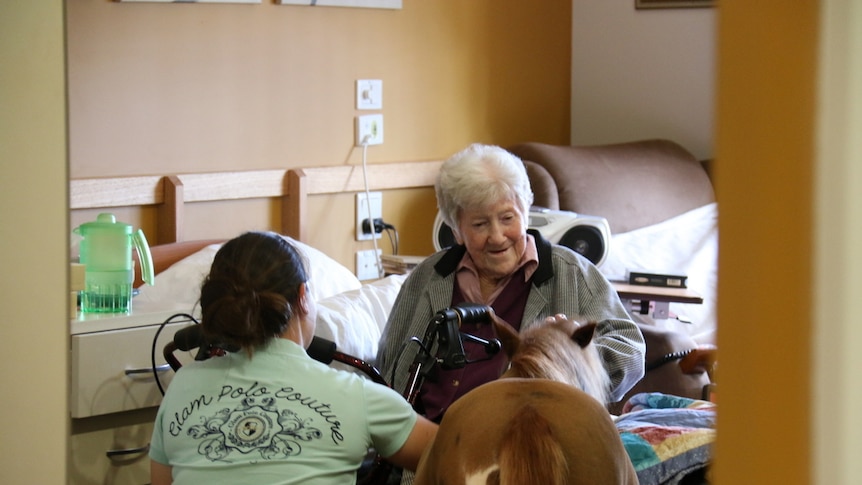 Miniature horse visits nursing home resident.