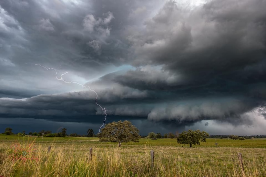 A menacing storm cloud issues a thunderbolt into a paddock.