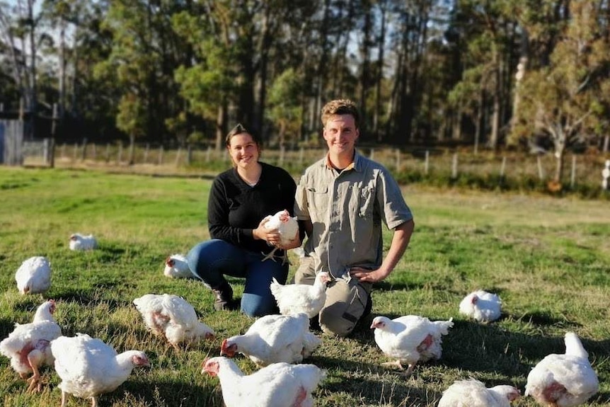 A man and a woman are sitting in a green field with about 10 chickens around them.