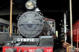 Gympie's Mary Valley Rattler steam train