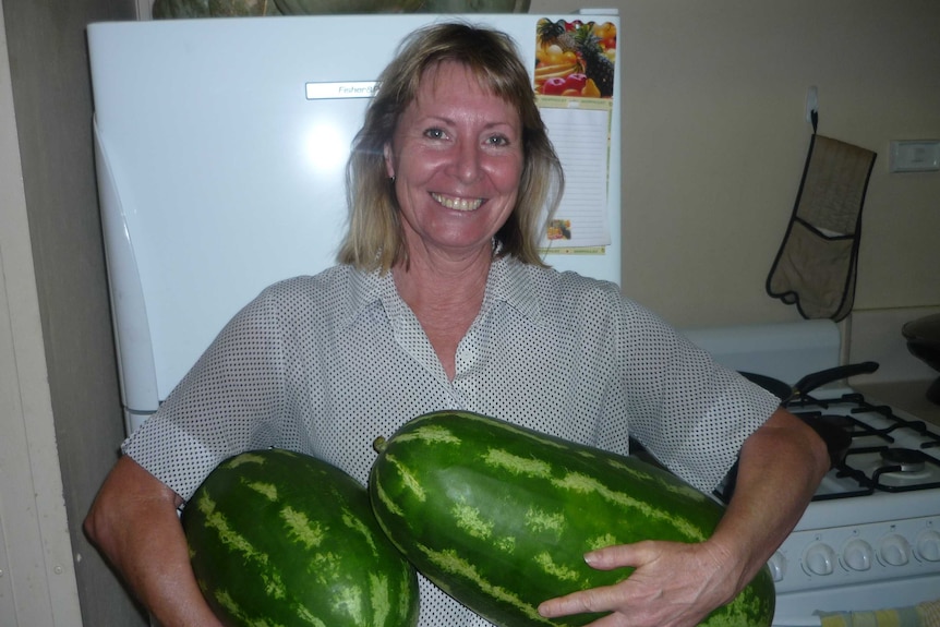 Homegrown watermelons