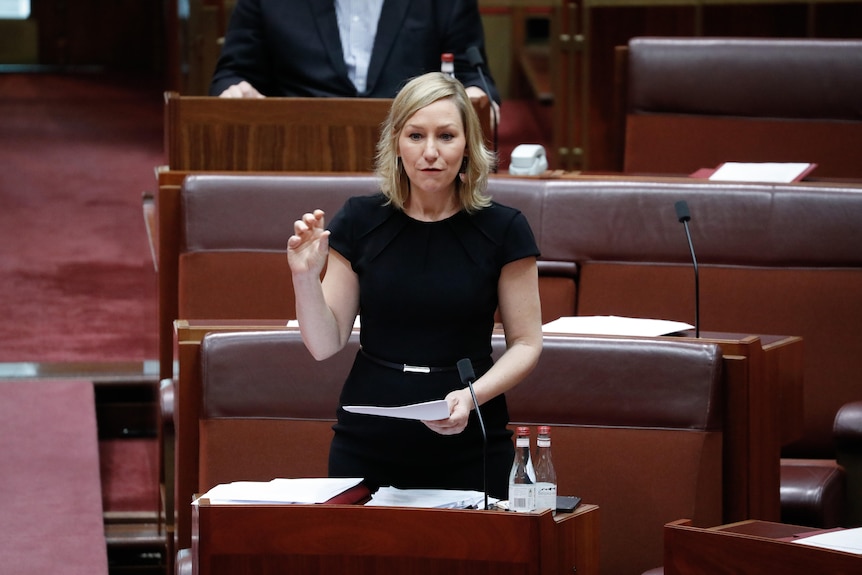 Larissa Waters speaking in the Senate.