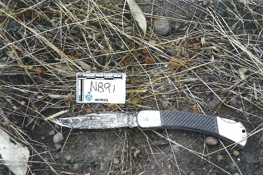 Photograph of the knife alleged to have been the murder weapon in the murder of Stacey Thorne.