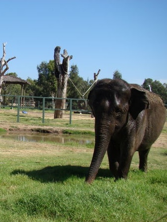 Taronga Western Plains Zoo in Dubbo in Western NSW