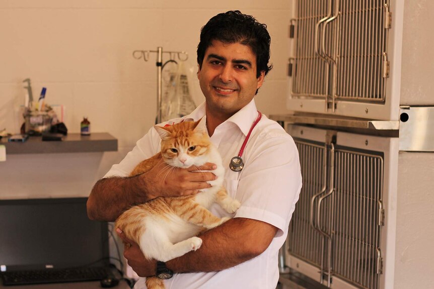 A veterinarian wearing a stethoscope holds a cat inside a cat clinic.