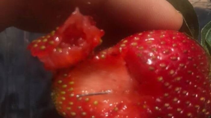 Buah strawberry dengan jarum suntik didalamnya