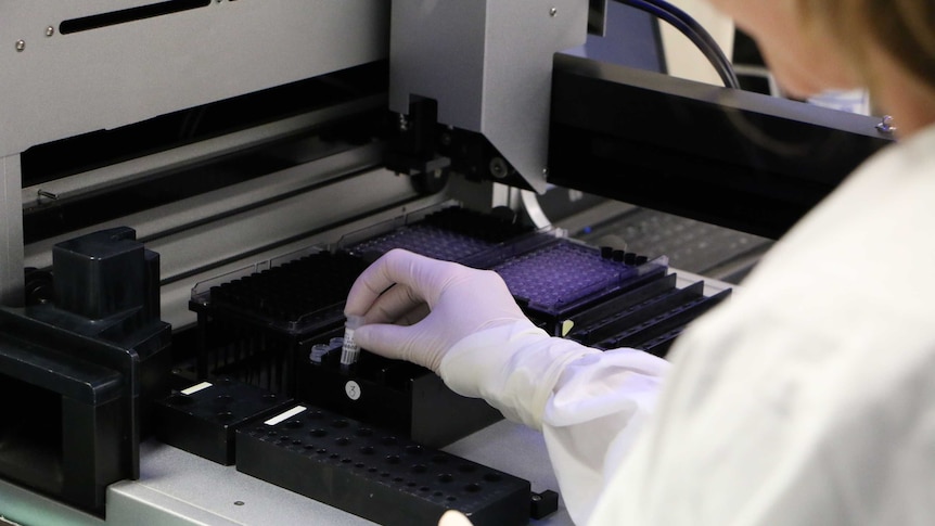 A scientist at work in an ACT Pathology lab.