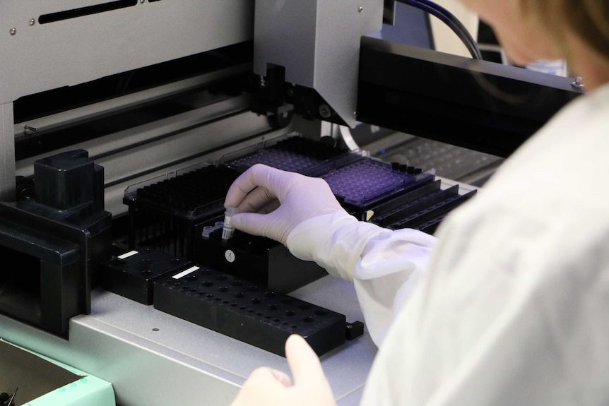 A scientist doing a test in a laboratory.