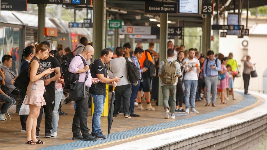 A large crowd of people stands on a train platform.