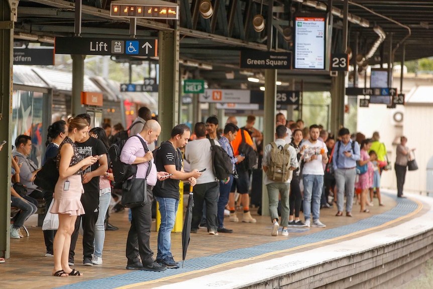 A large crowd of people stands on a train platform.