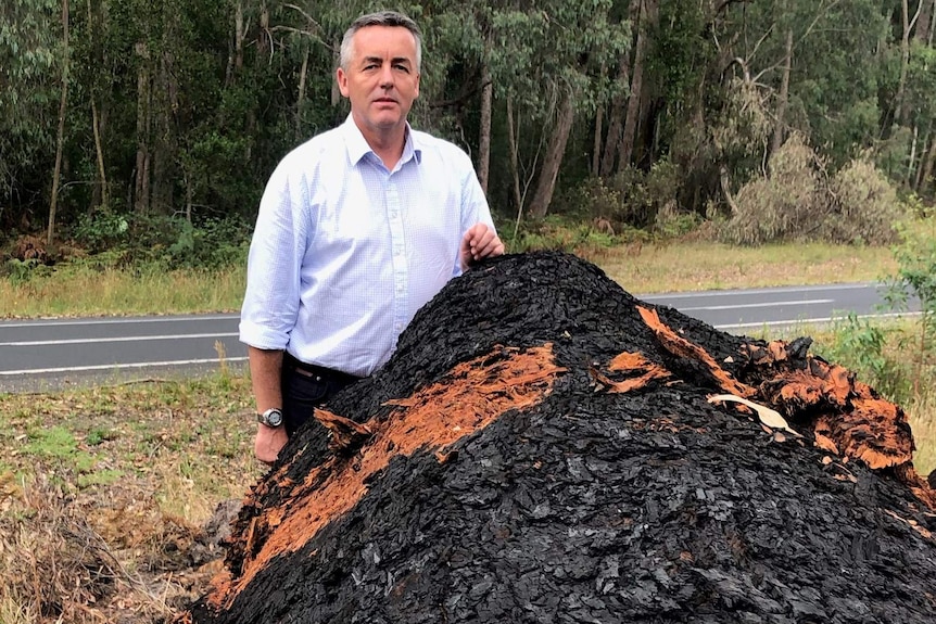 Darren Chester in East Gippsland supporting efforts to salvage burnt timber