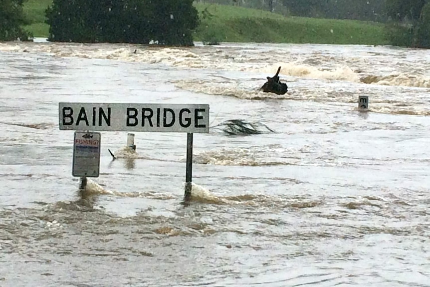 A sign sticking out of murky water.