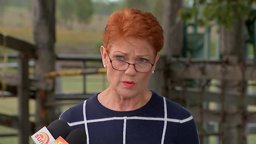 "The footage I saw cannot be ignored": Pauline Hanson on ACA revelations