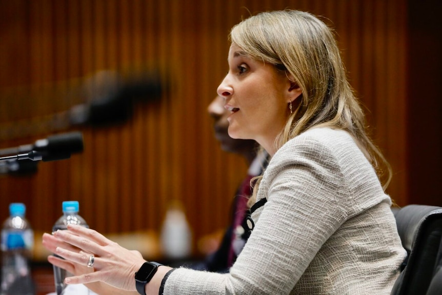 Kelly Bayer Rosmarin talking into a microphone in the Senate.