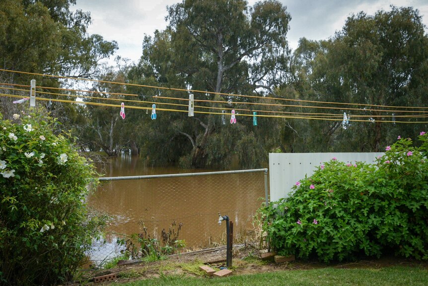 brown floodwaters lapping up against a backyard with a clothesline