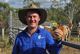 Professor David Swain holding a prototype of the modem-equipped cattle ear tag