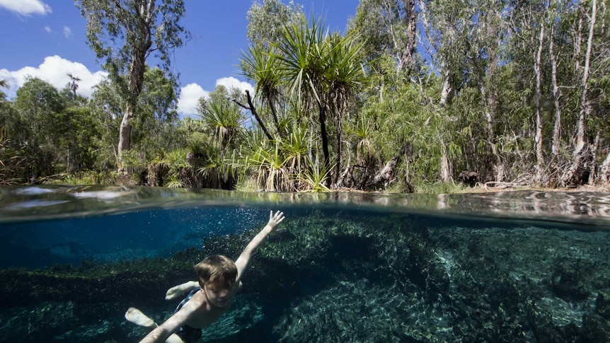 A young boy swims in a creek in Western Australia