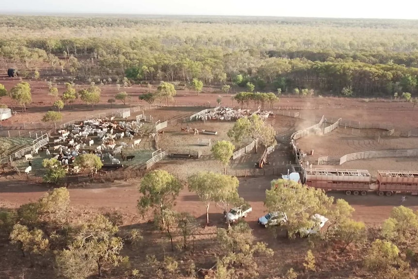 An aerial shot of Amungee Mungee Station.