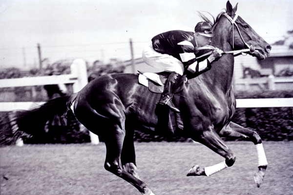 Australia's greatest racehorse, Phar Lap.