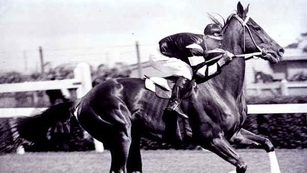 Australia's greatest racehorse, Phar Lap.