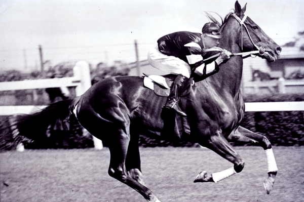 A black and white photo of Phar Lap winning one of his races.