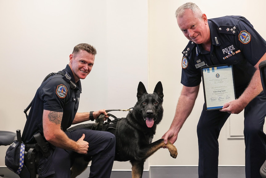 Cute shot of german shepherd with paw on officer's hand as he presents certificate.