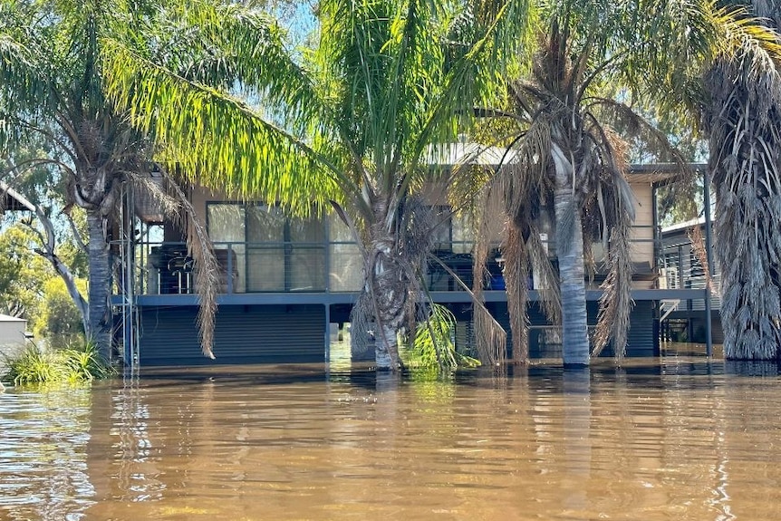 A flooded house with palm trees in front.