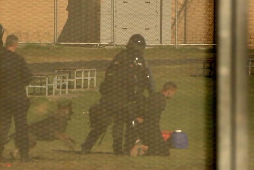 teenager being put on his knees and handcuffed while a police dog barks at him