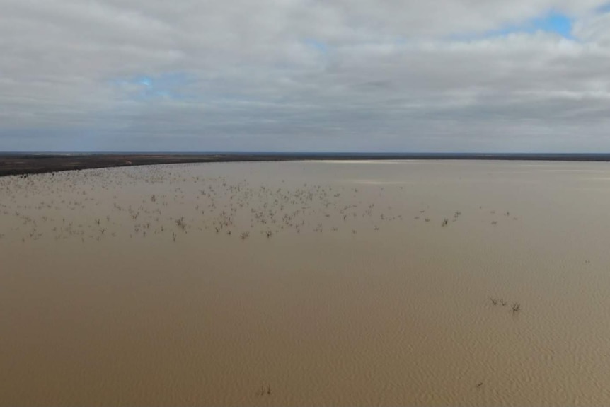 A huge body of brown floodwater, taken from a drone.