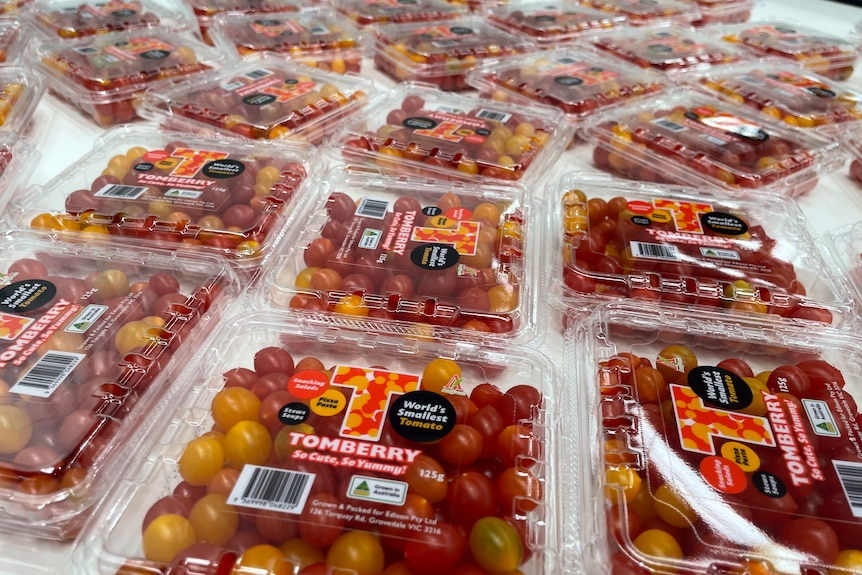 Photo of a punnet of tomatoes.