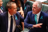 Bill Shorten and Malcolm Turnbull trade barbs during Question Time.