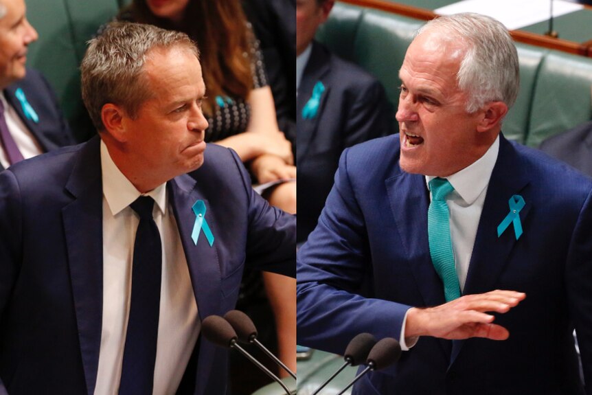 Bill Shorten and Malcolm Turnbull trade barbs during Question Time.