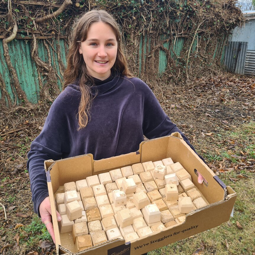 Milli Gunner holding a box full of cubes of dirt