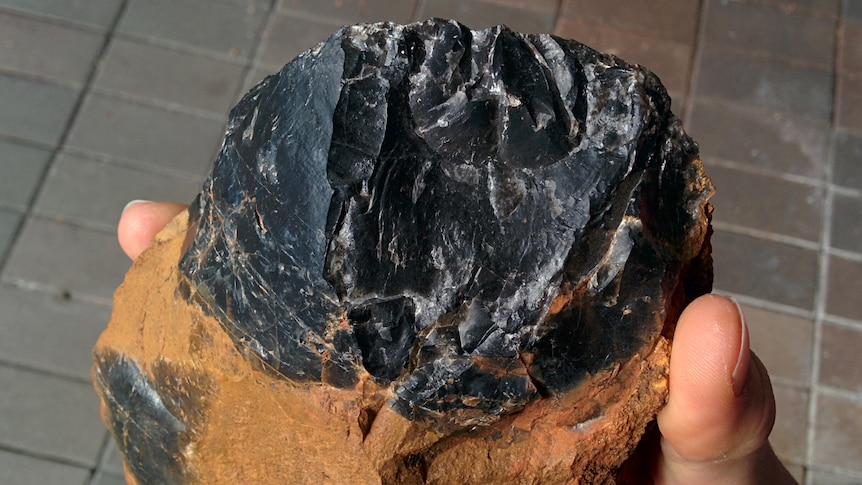Hand holding a large, black rock