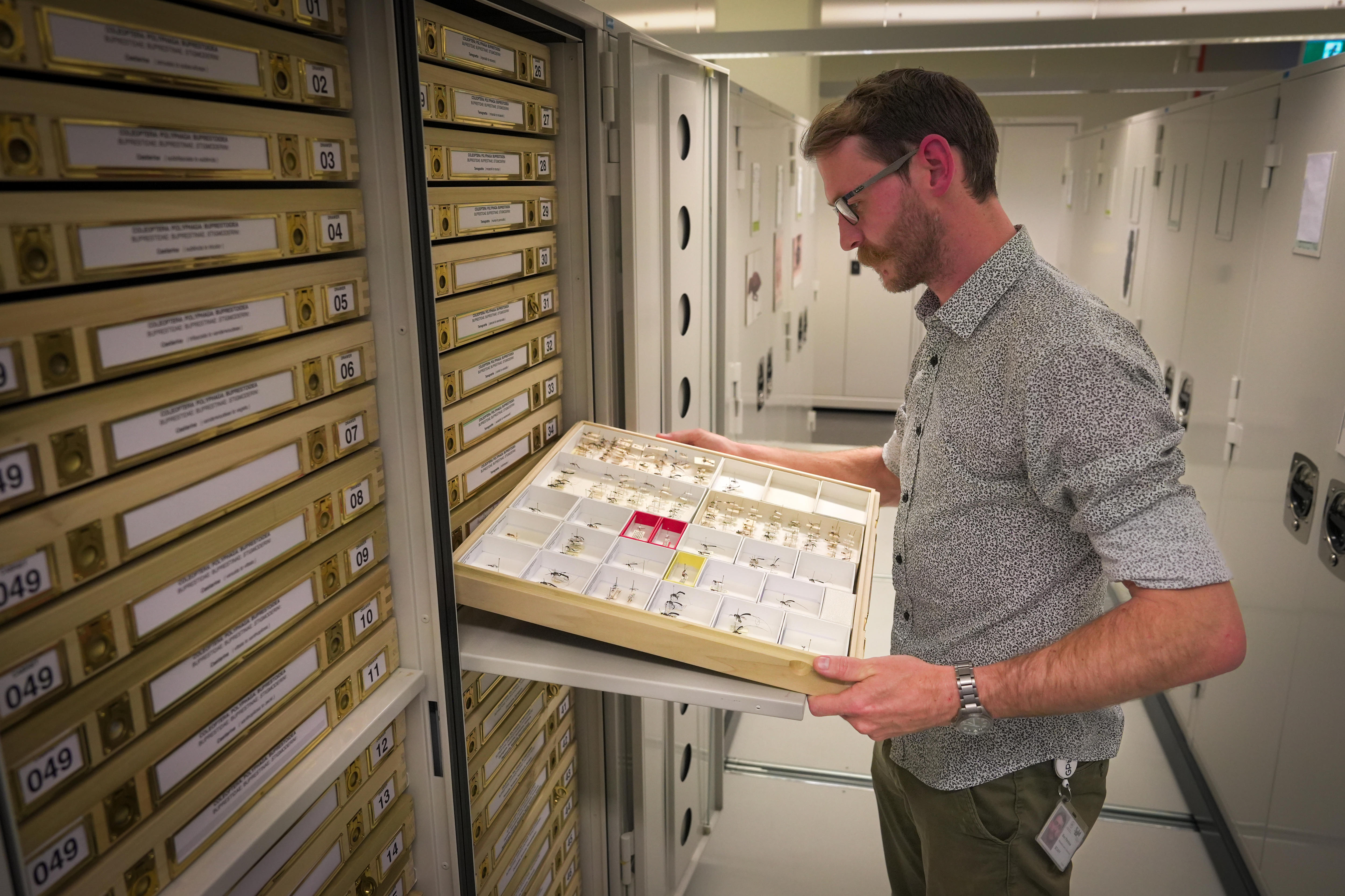 A bespectacled man examines a specimen tray in a hallway.