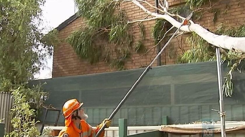 SES clean up after strong winds