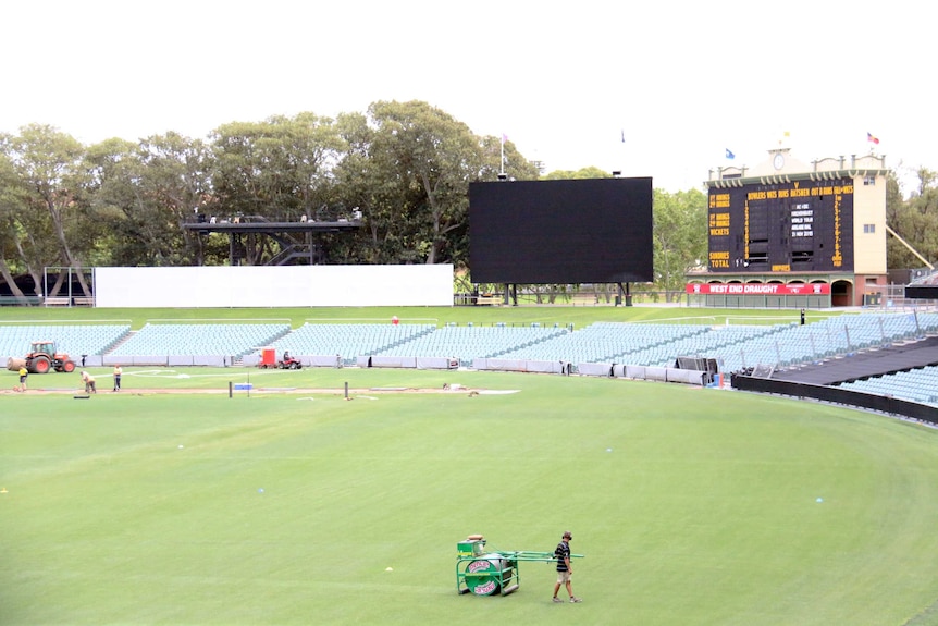 pitch at Adelaide Oval is prepared