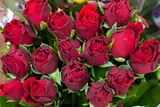 自二月份以来，澳大利亚从肯尼亚进口了创纪录数量的玫瑰花。