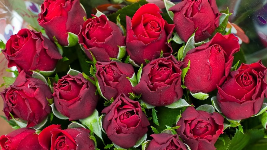 A bunch of red roses from Kenya.