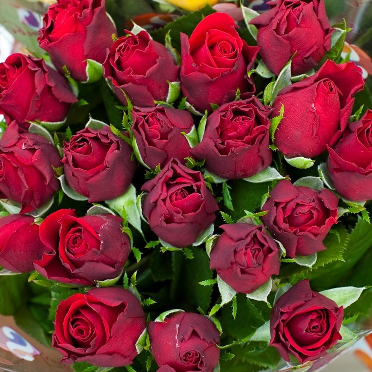 A bunch of red roses - imported from Kenya.