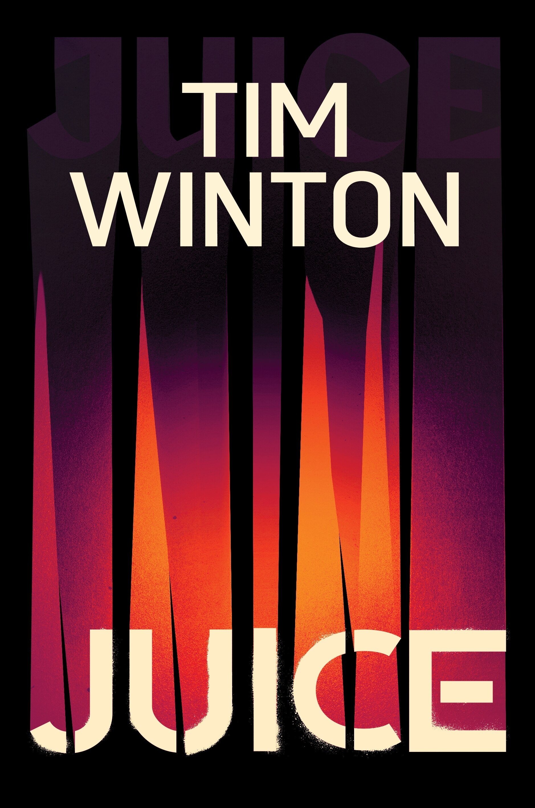 A book cover with text and a stylised illustration of orange and purple flames on a black background