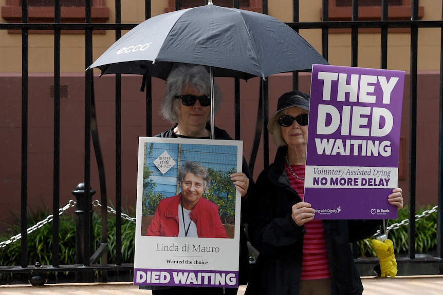 Two women stand under an umbrella holding posters saying "They died waiting".