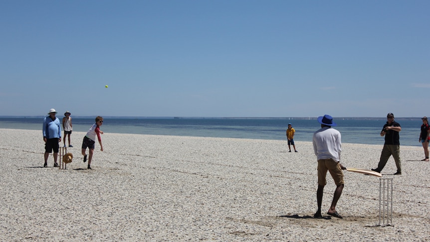 A group of people playing cricket on the beach.