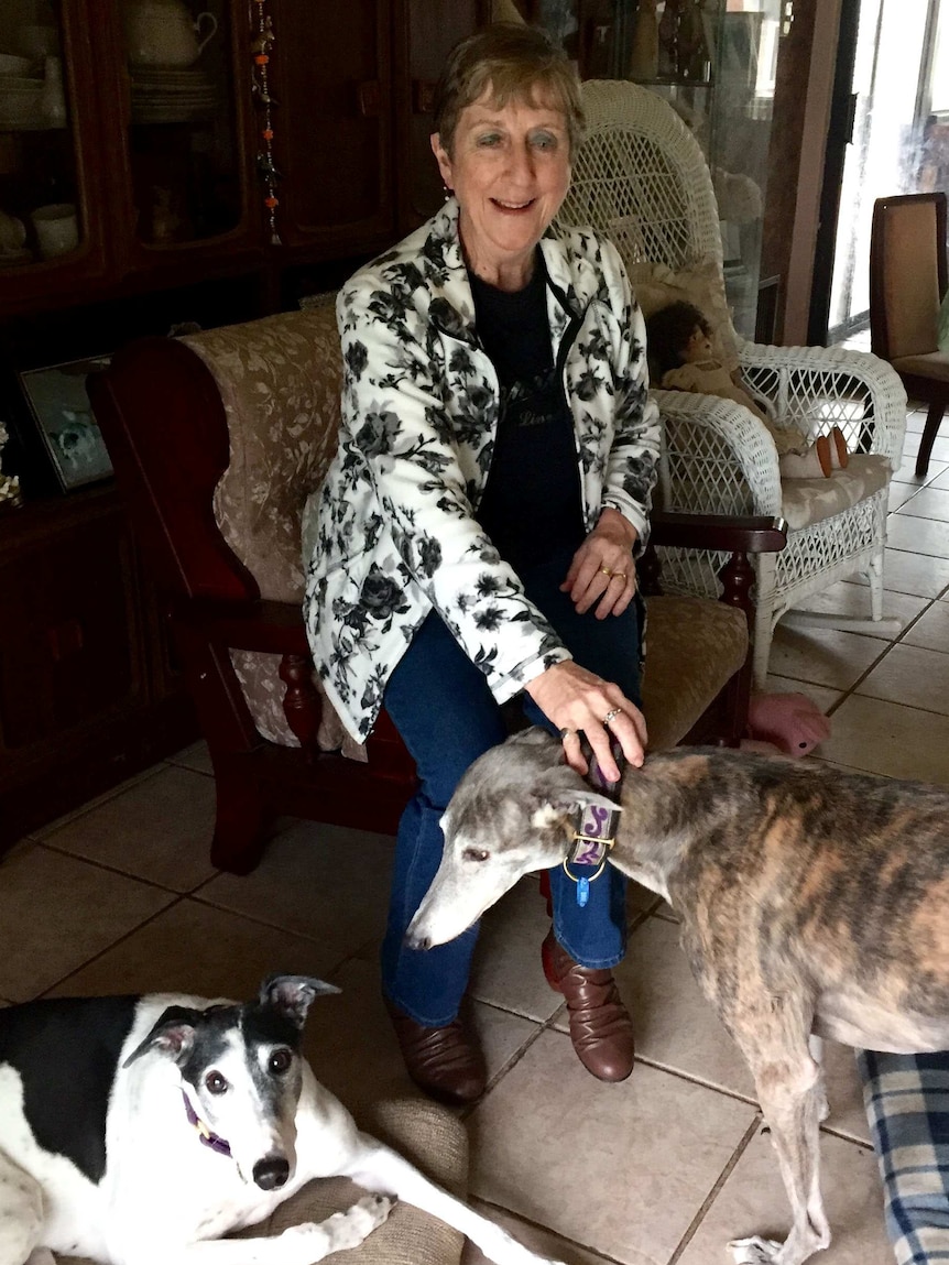 Toni Donnelly sits in a chair with two greyhounds at her feet.