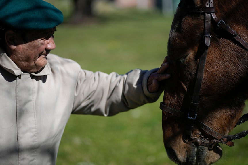 A man in a light grey jacket and baggy green hat strokes a brown horse on the nose. the horse has its eyes shut.