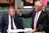 Barnaby Joyce slaps his forehead despondently while Malcolm Turnbull gestures towards Labor in the House of Representatives.