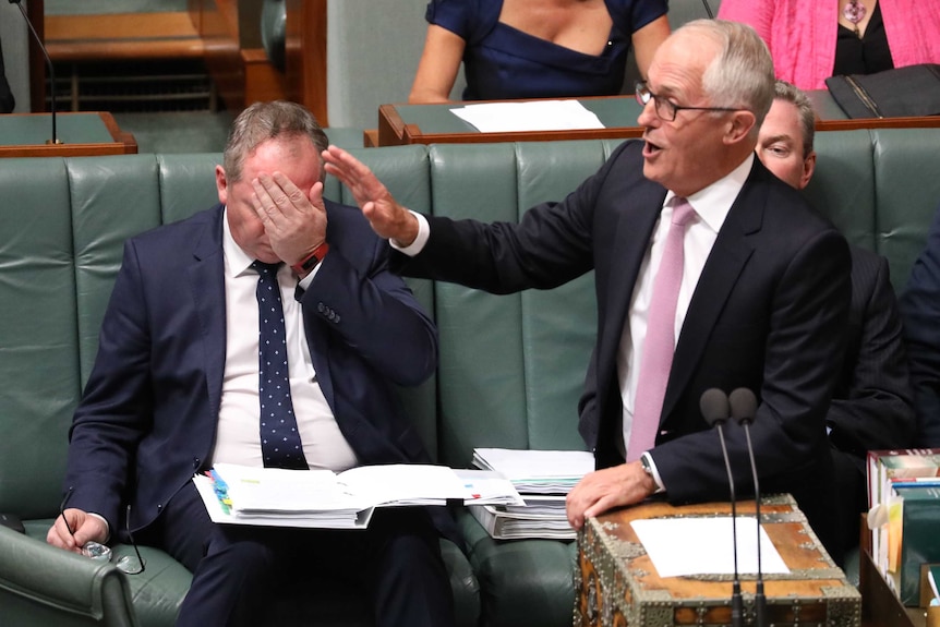 Barnaby Joyce slaps his forehead despondently while Malcolm Turnbull gestures towards Labor in the House of Representatives.