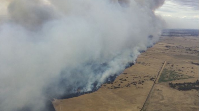 As fire crosses dry grasslands a curtain of smoke lines the fire front