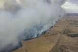 Smoke about the Lucindale grass fire
